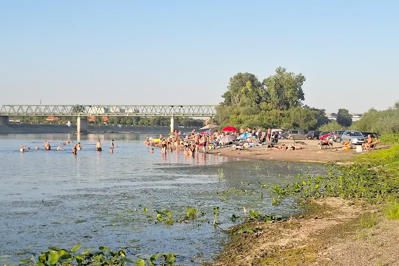 Živa atmosfera na Adi: Puna plaža, roštilj i red na parkingu